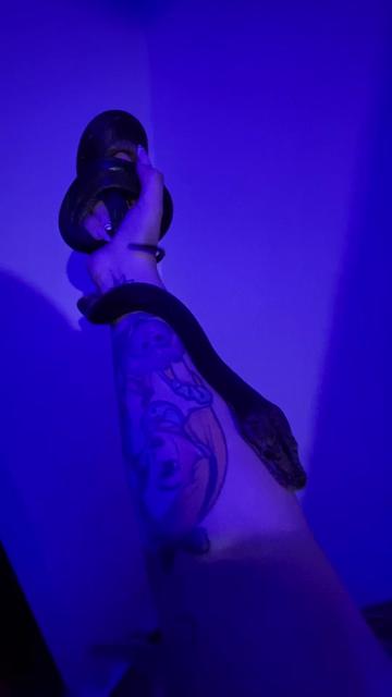 @Ibonne  Guzm&aacute;n 💎🐍