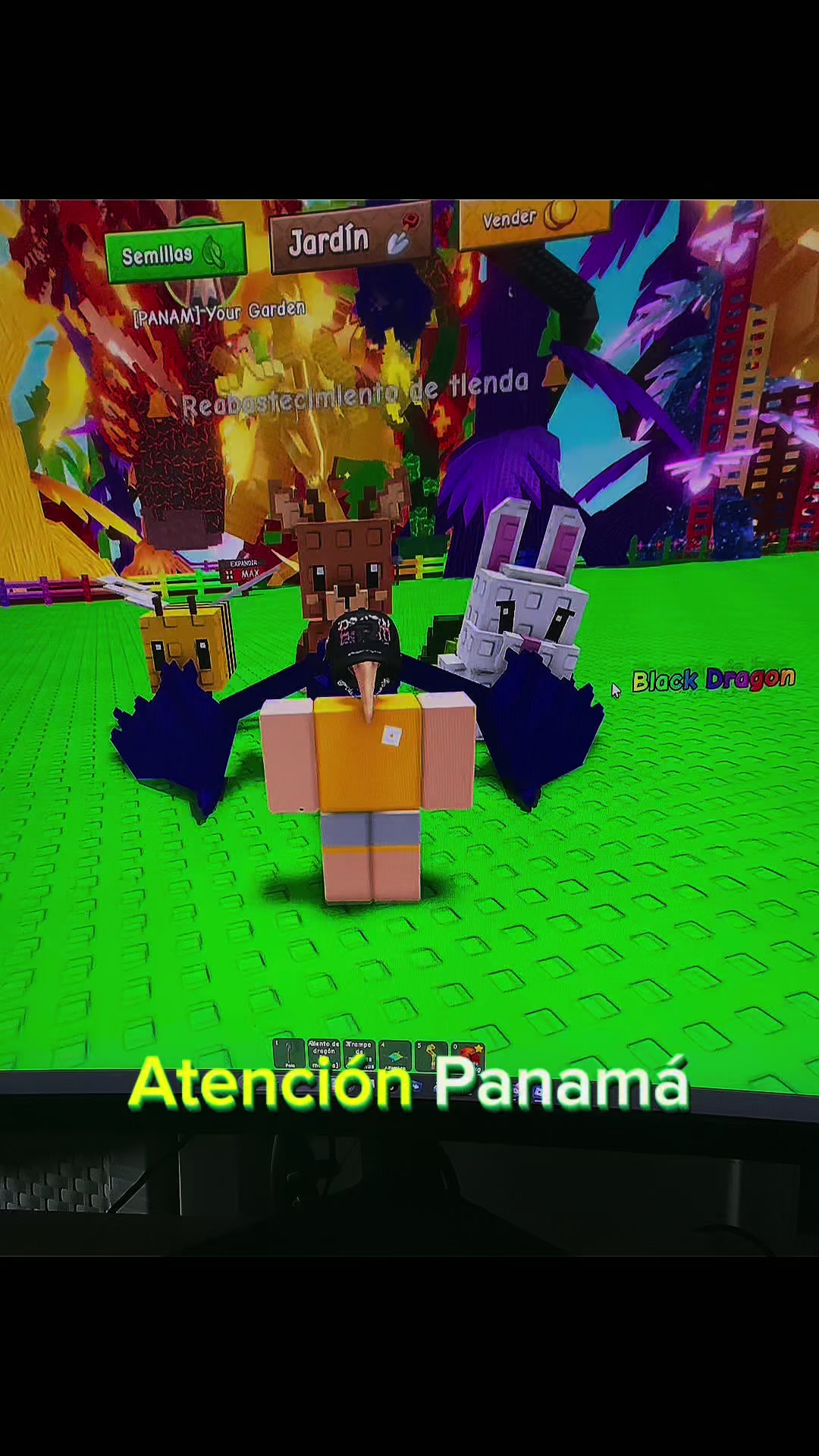@ROBLOX BELICO