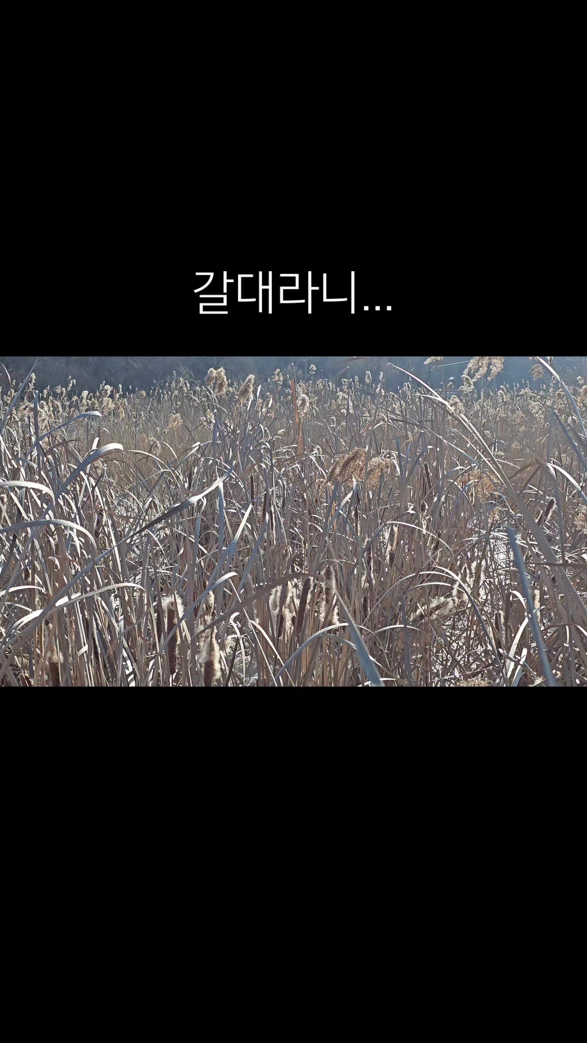 @갑비