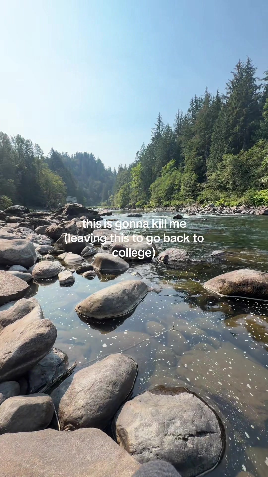 @ani