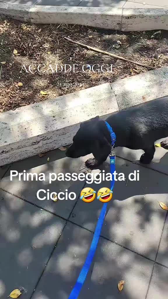 @Vale....🤗