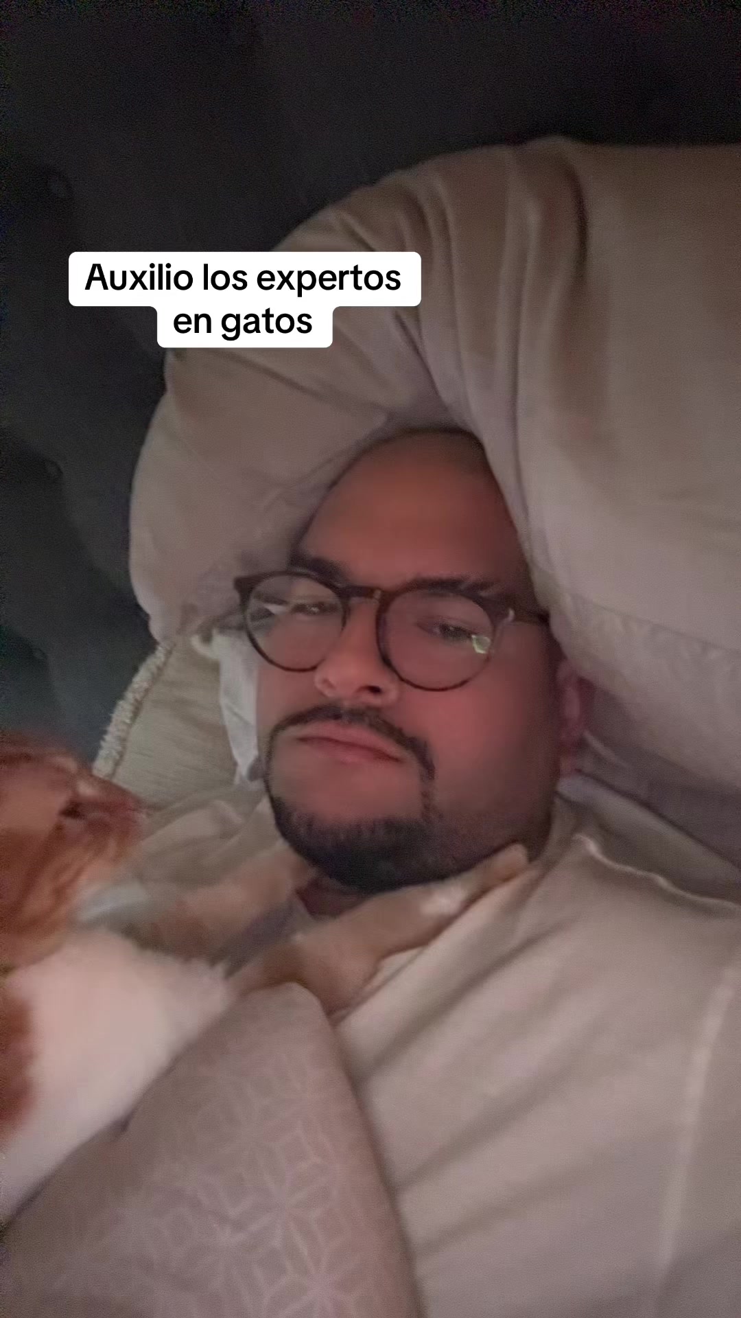 @Perdido en Tiktok