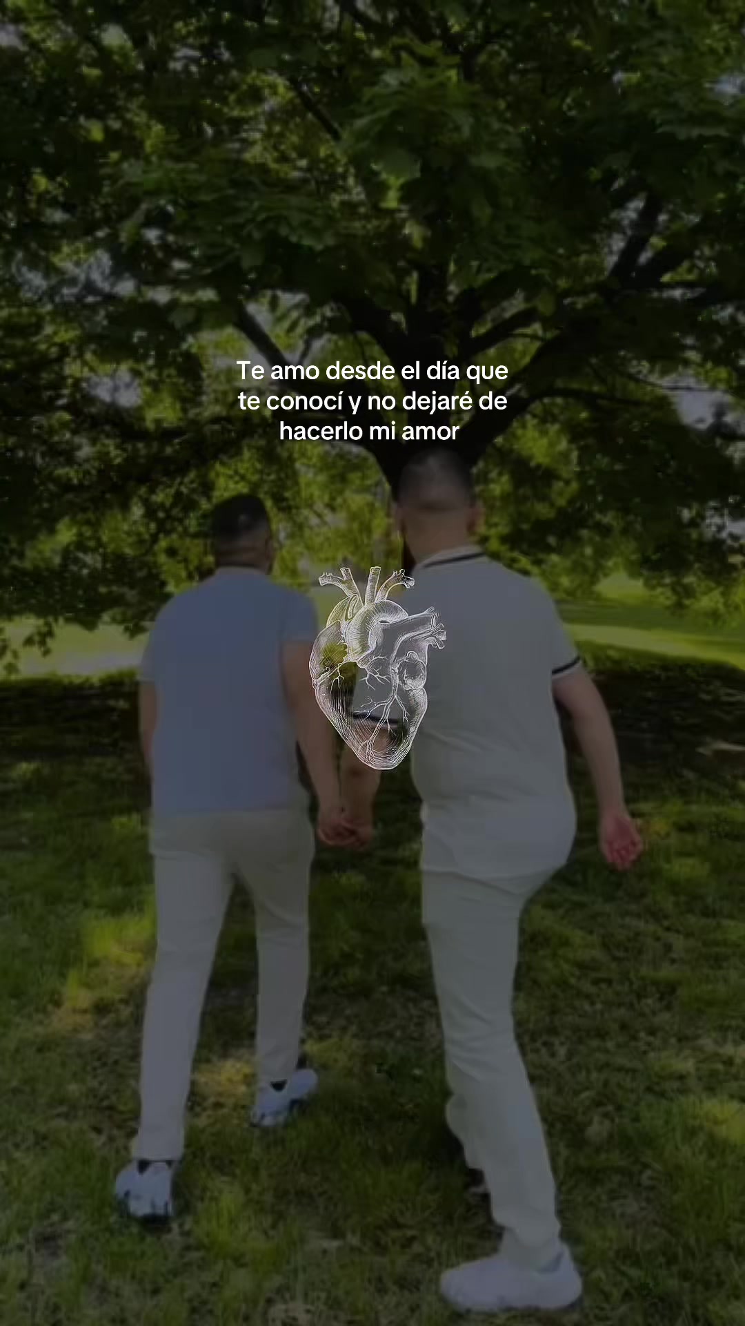 @Angel Nava