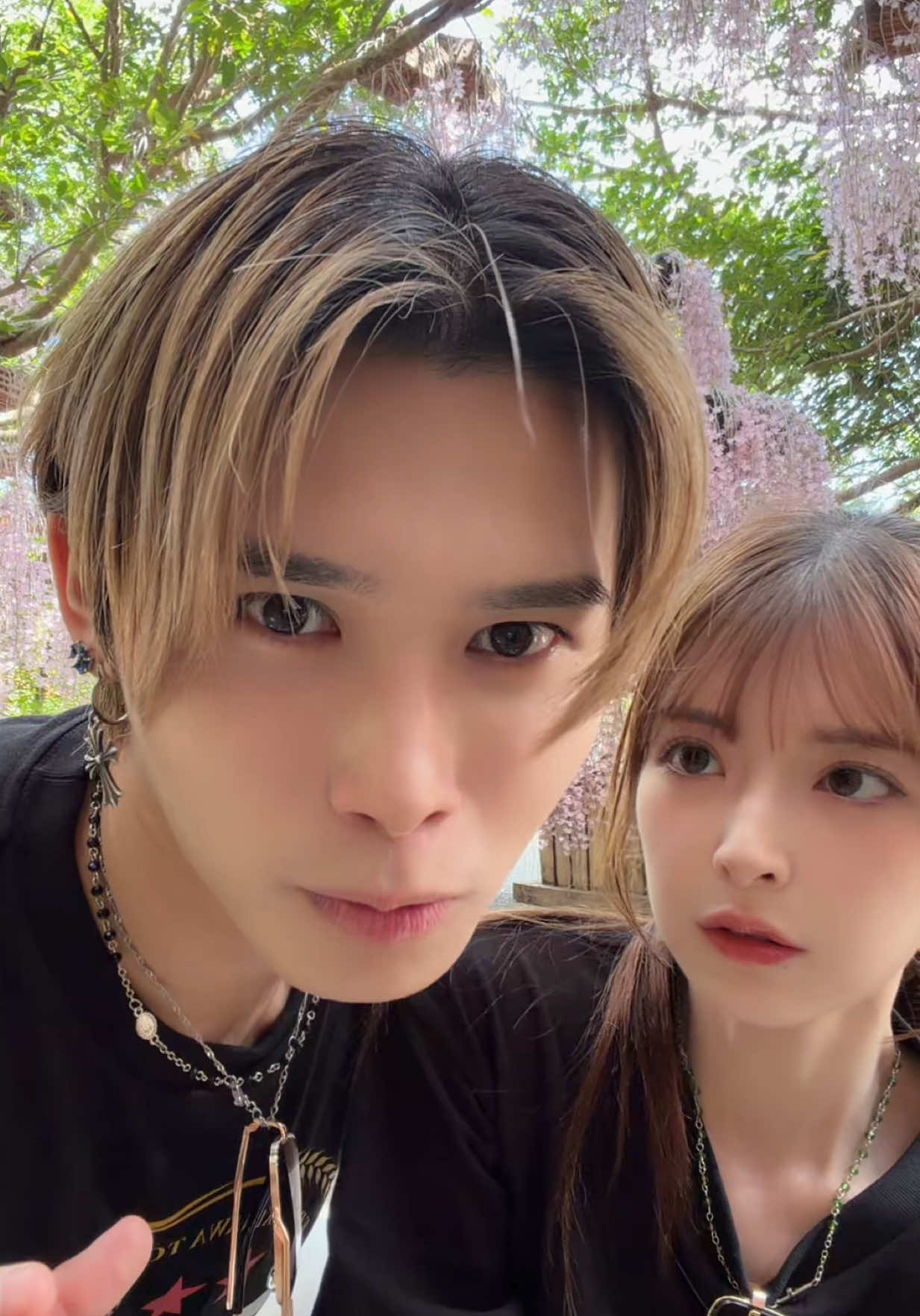 @Taisei