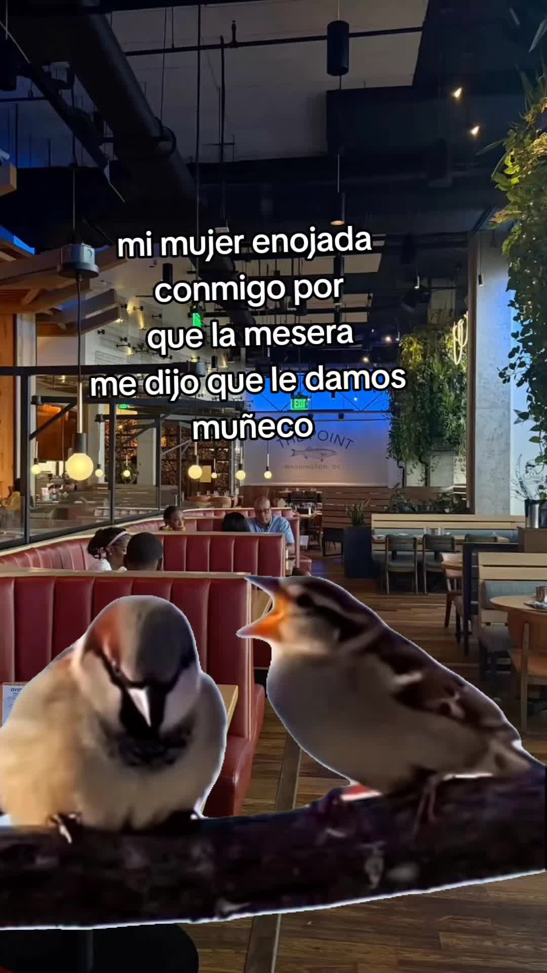 @Wendolin🐈⬛🍒