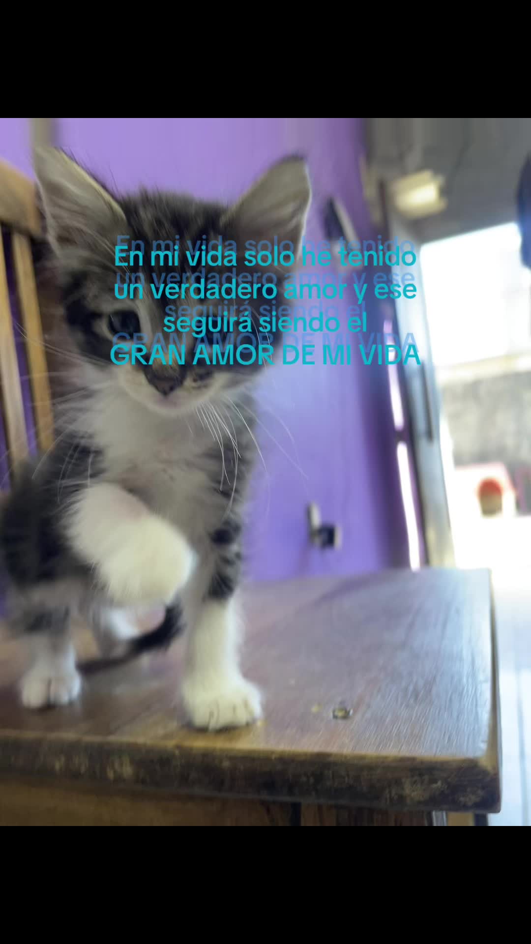 @No encontrada..