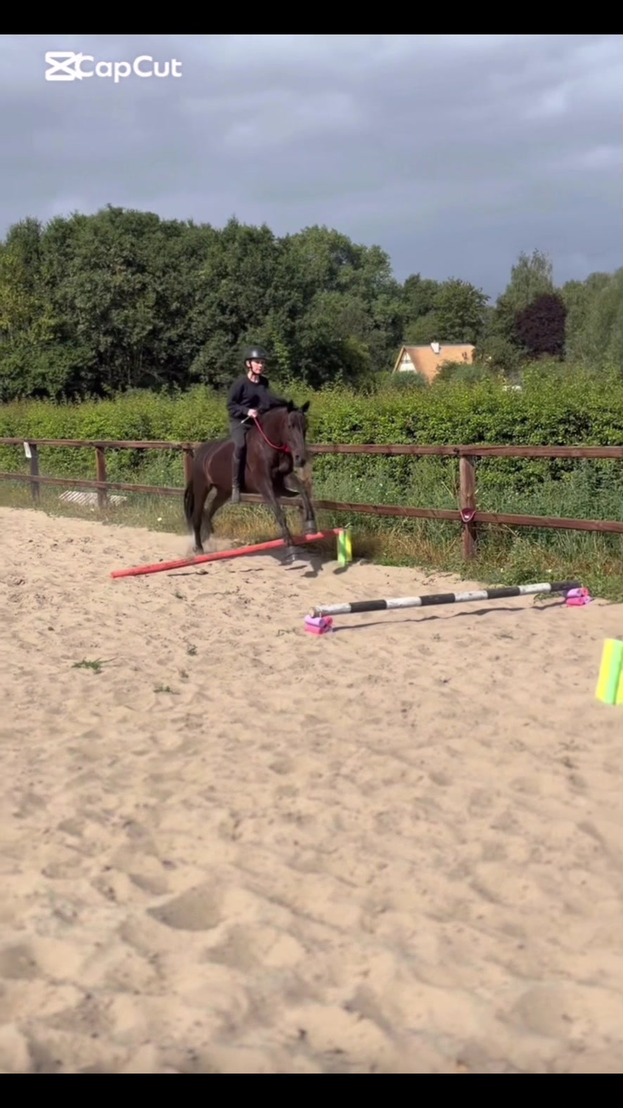 @Equi Roosje🇳🇱