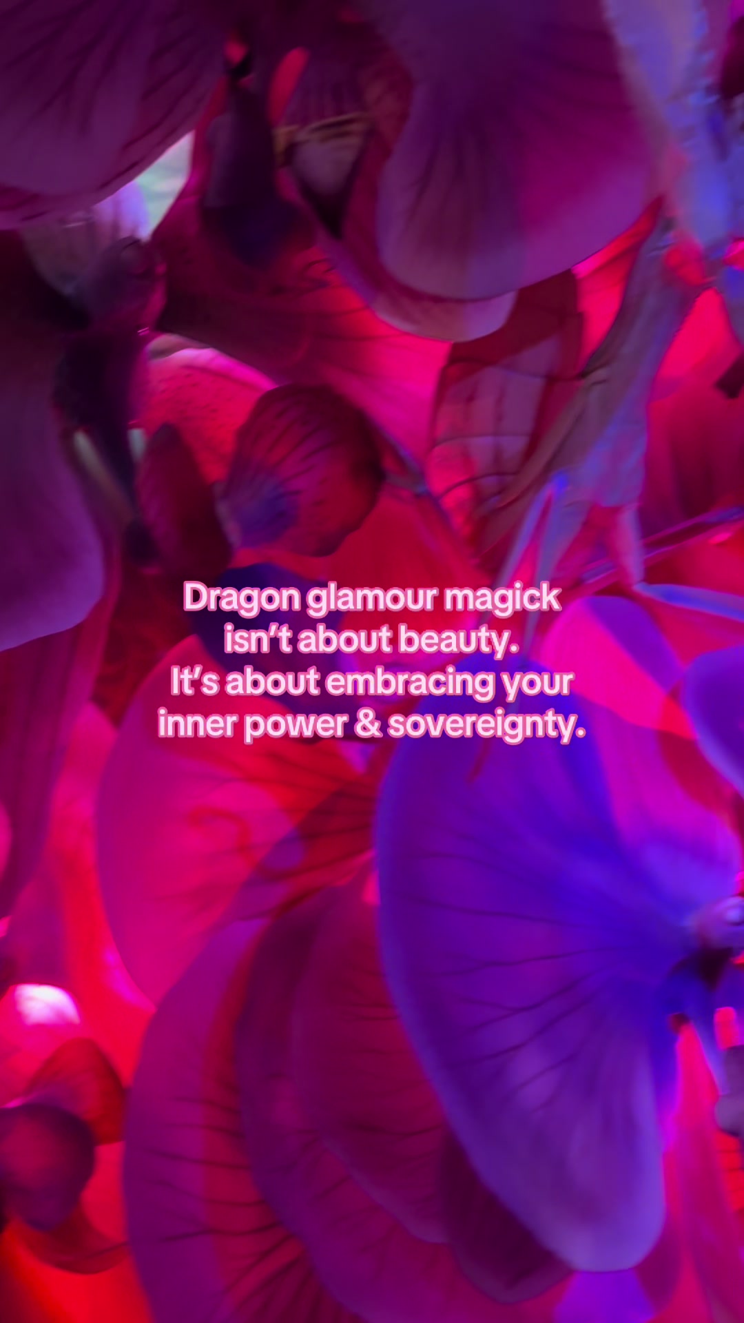 @Merlyn The Dragon Alchemist 🐉
