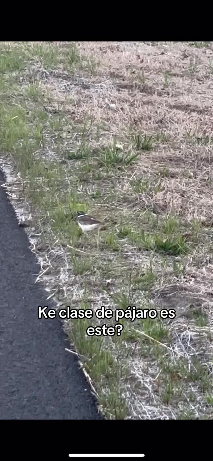 @Sandra