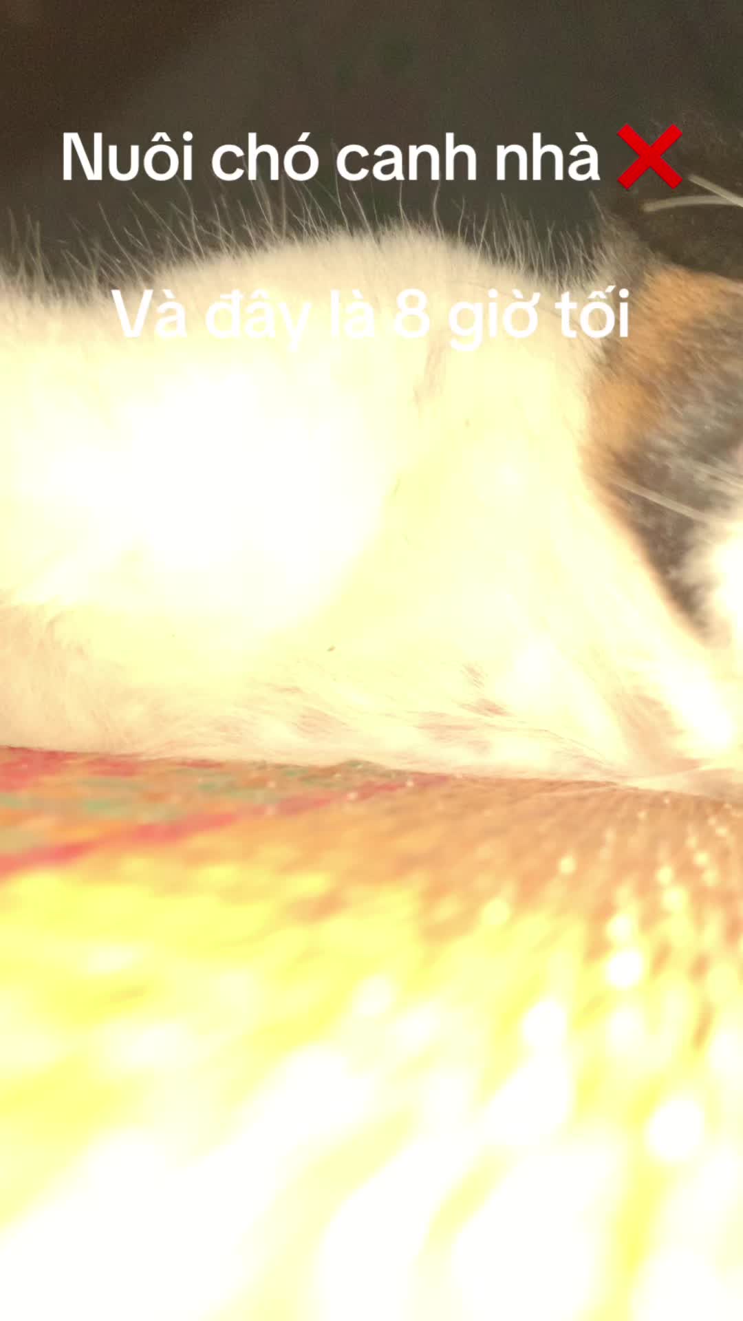 @Lusubu