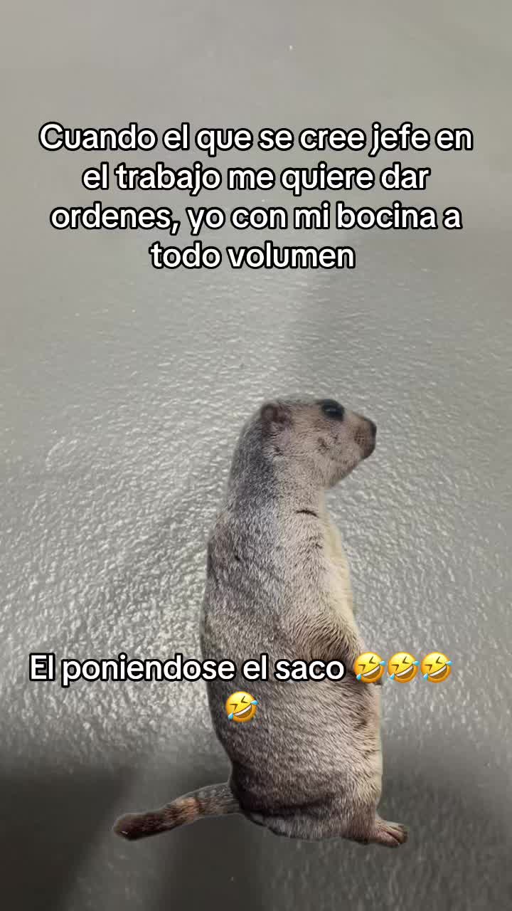 @Colochita 🥰🥰❤️❤️