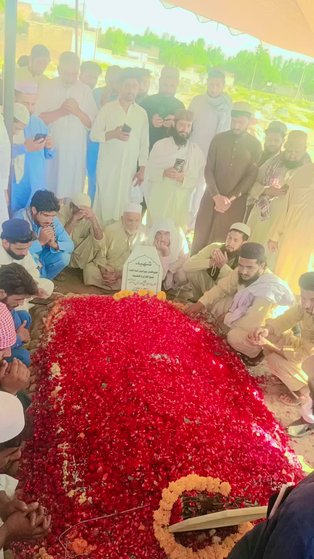 @Shah G ❤️
