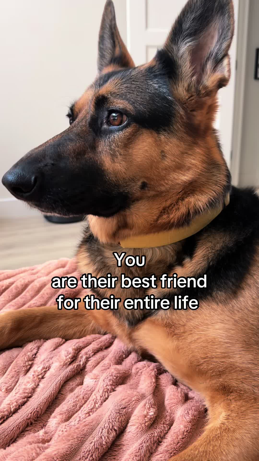 @Rory The Not-Working GSD