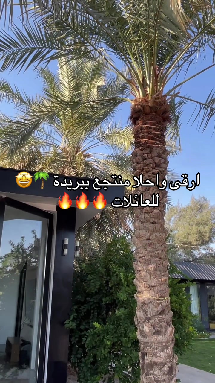 @بلوقر بريدة🌴⛱️| 10K