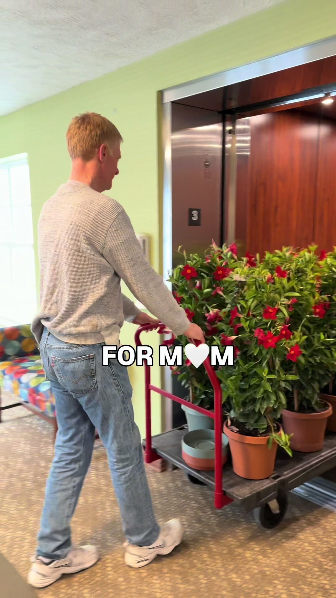 @PlantTraps