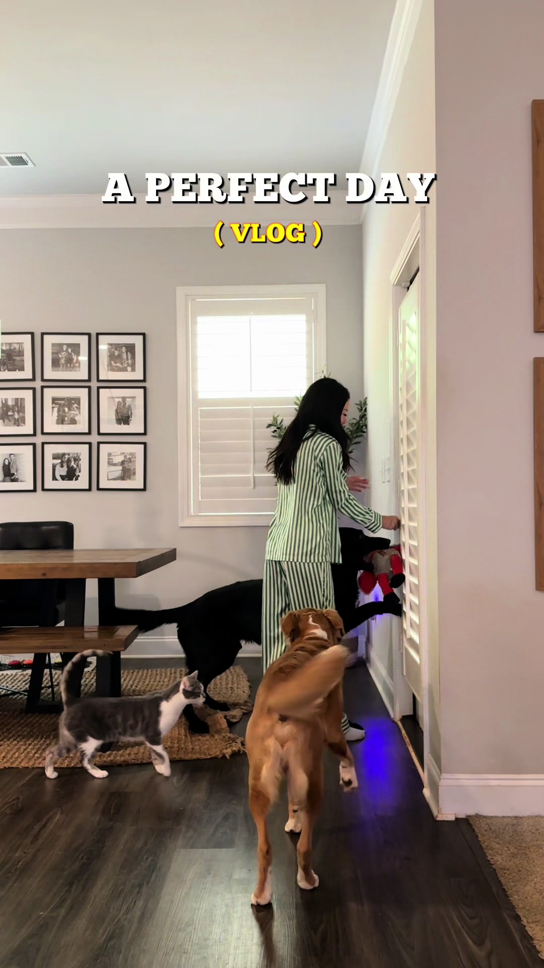 @My Dog&rsquo;s Dope