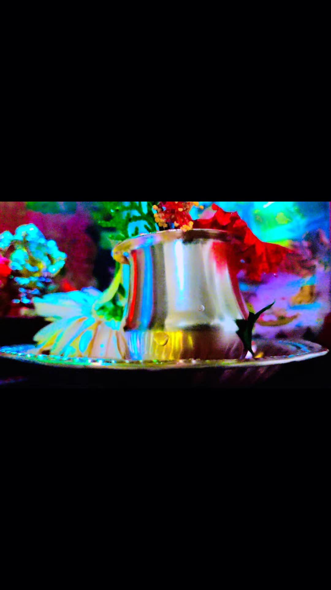 @༄ɴᴀʙɪɴシ︎ʙᴀʏᴀʟᴋᴏᴛɪ༄🇳🇵