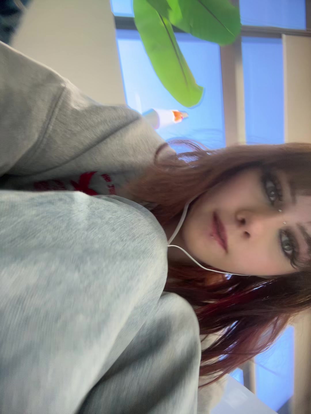 @ilicktaxis