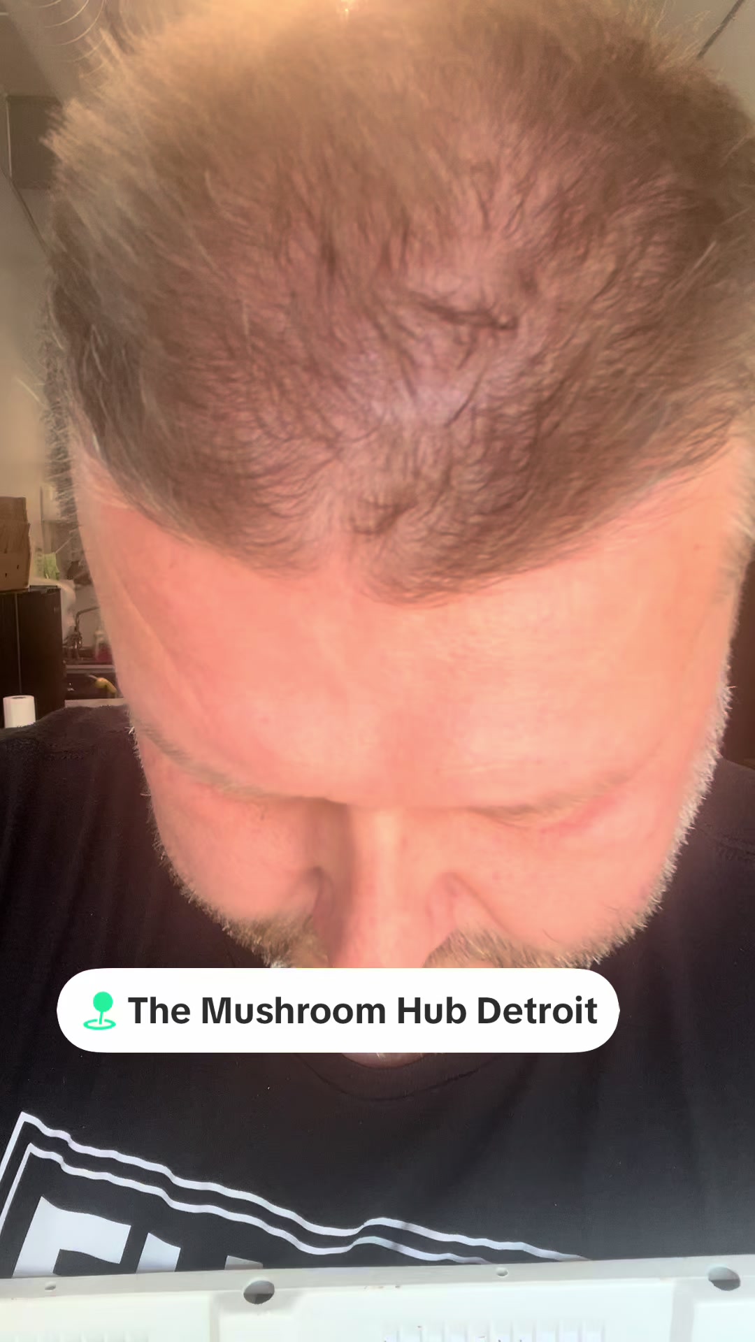 @The Mushroom Hub