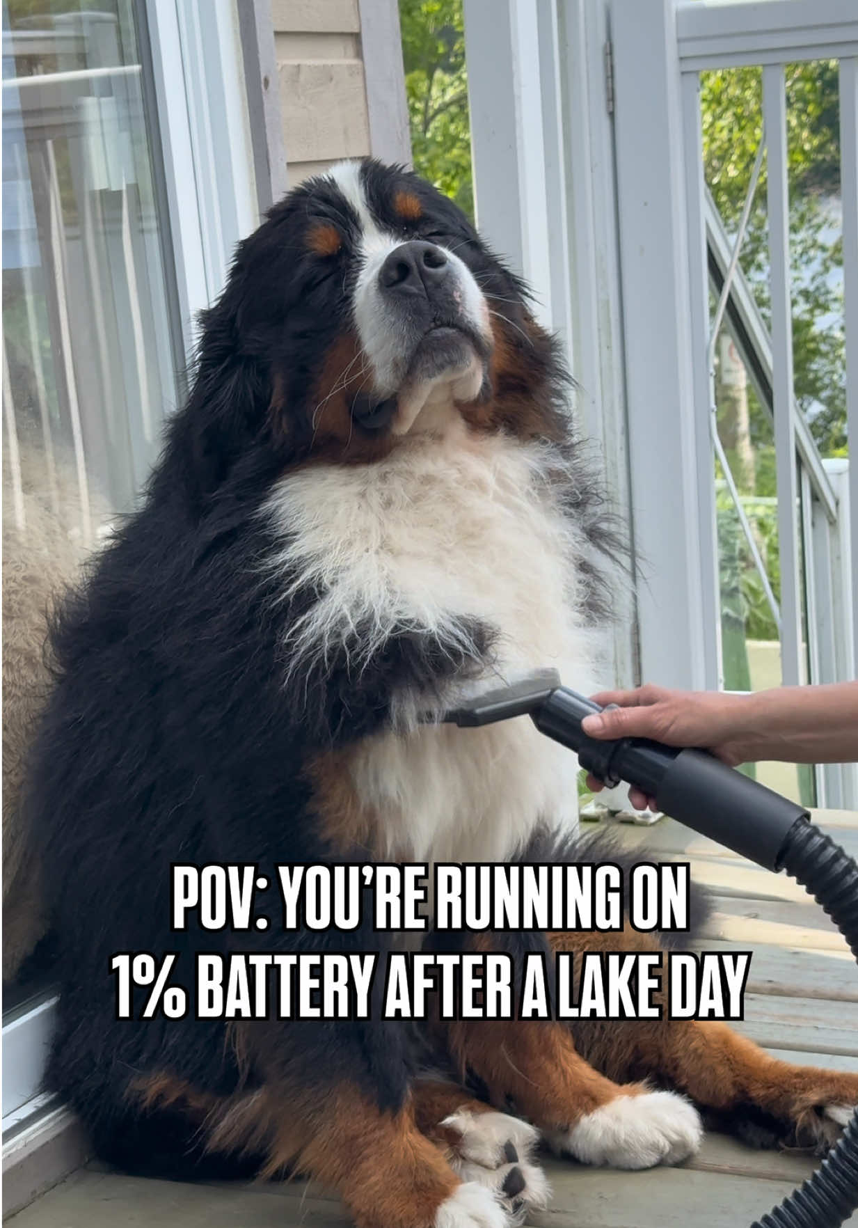 @Woody The Bernese