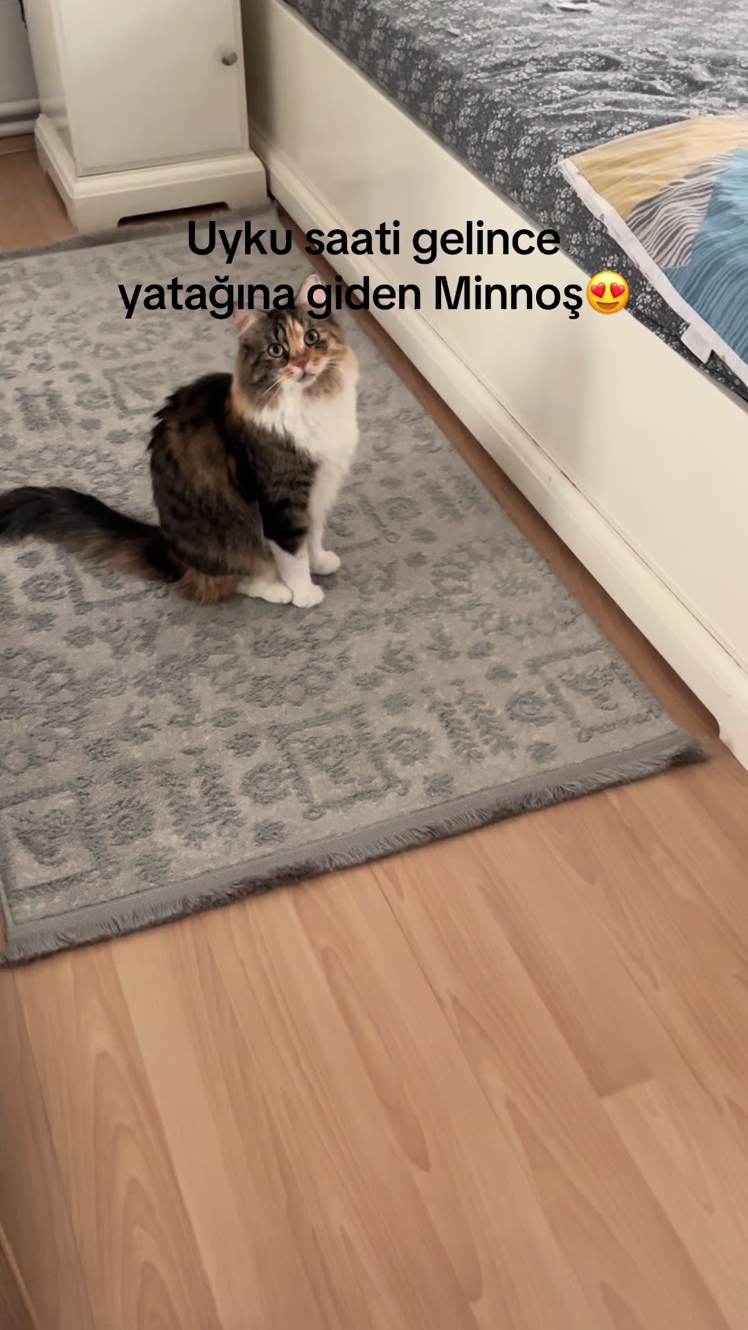 @konusankediminnos