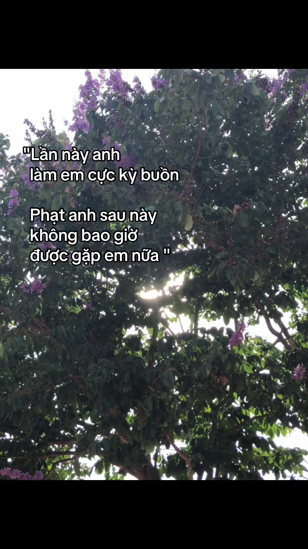 @•