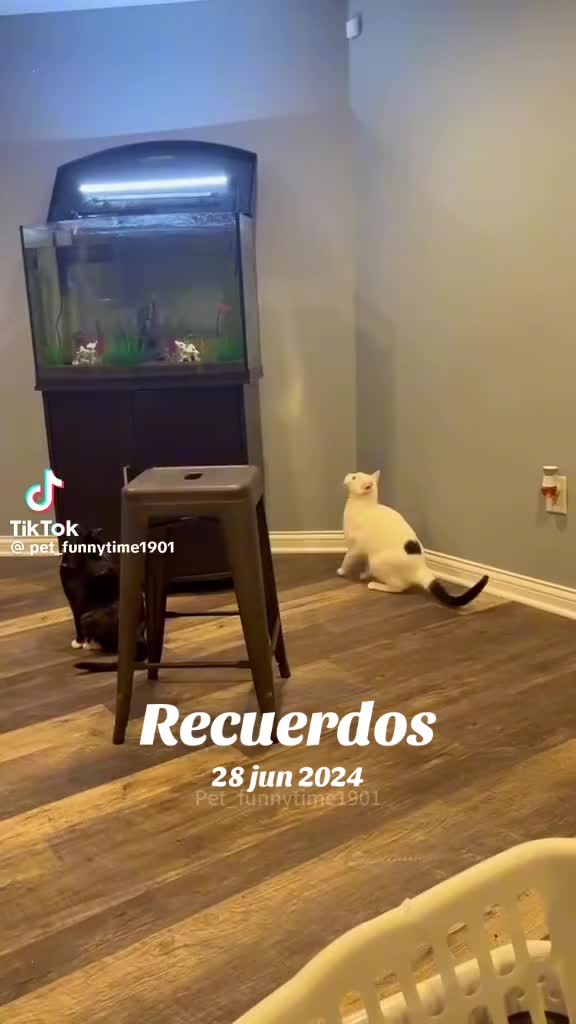 @rubencarrizalez65