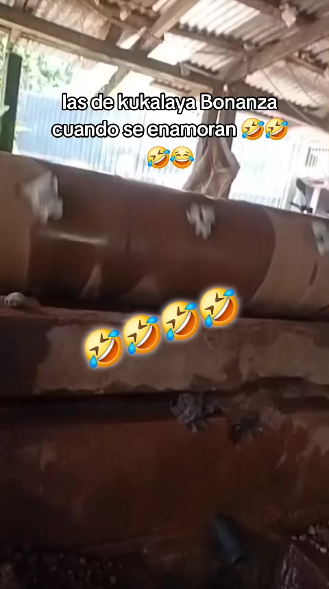 @El chele humor 😂😂