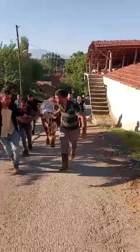 @FURKAN DREJ44