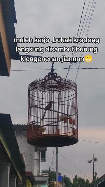 @maskembar12