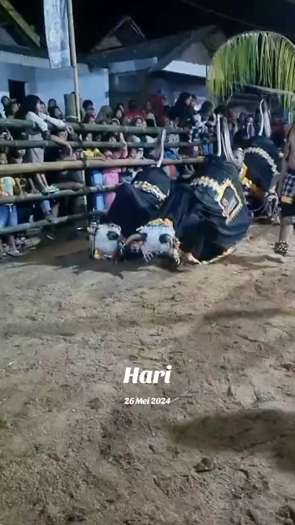 @LEMBU SURO OFFICIAL