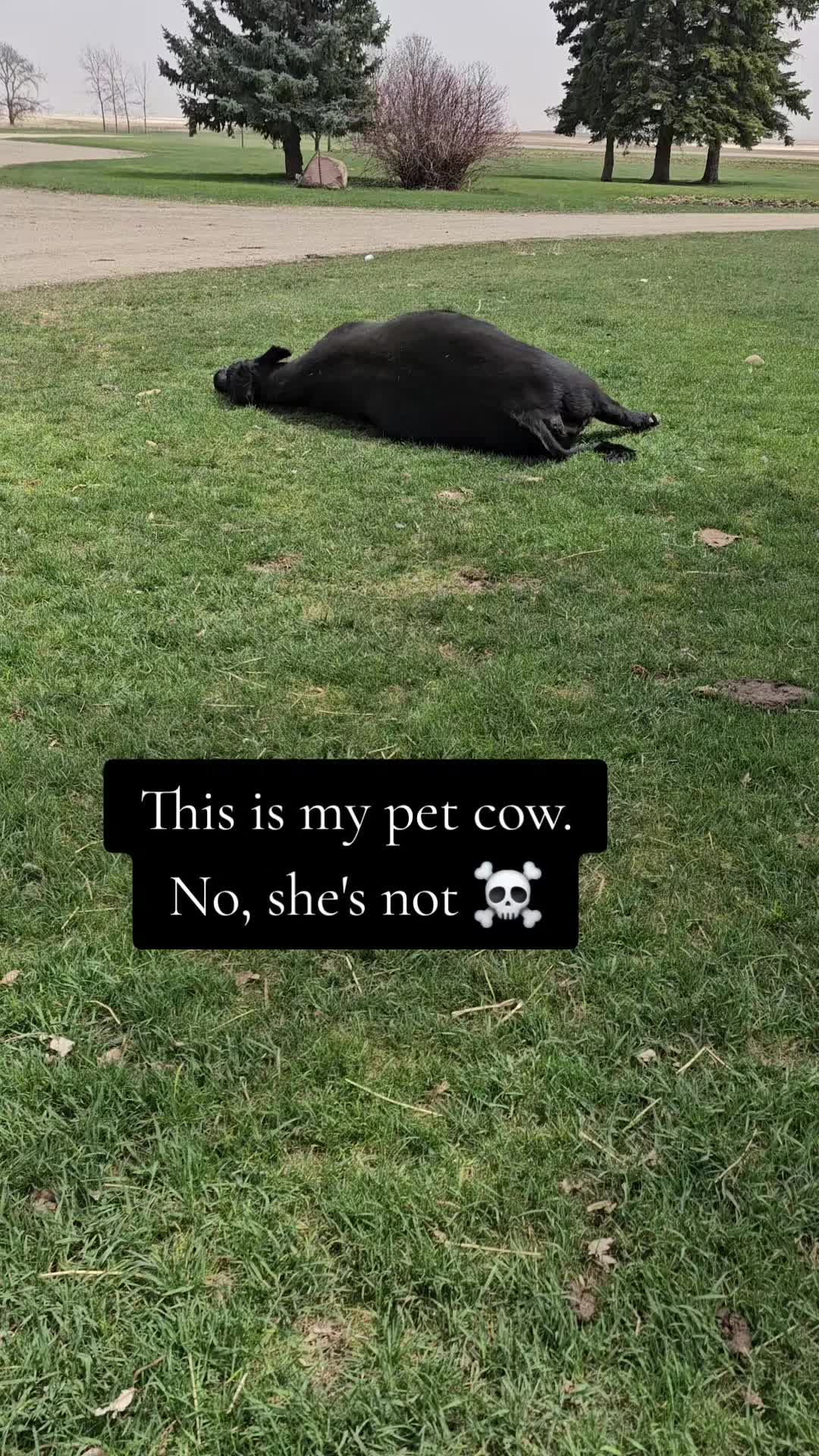 @Dakotafunnyfarm