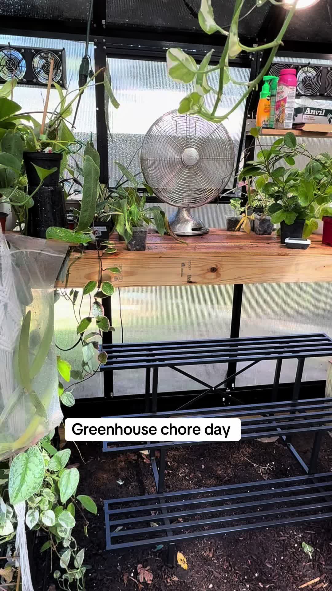 @Moon Root Magic Plant House
