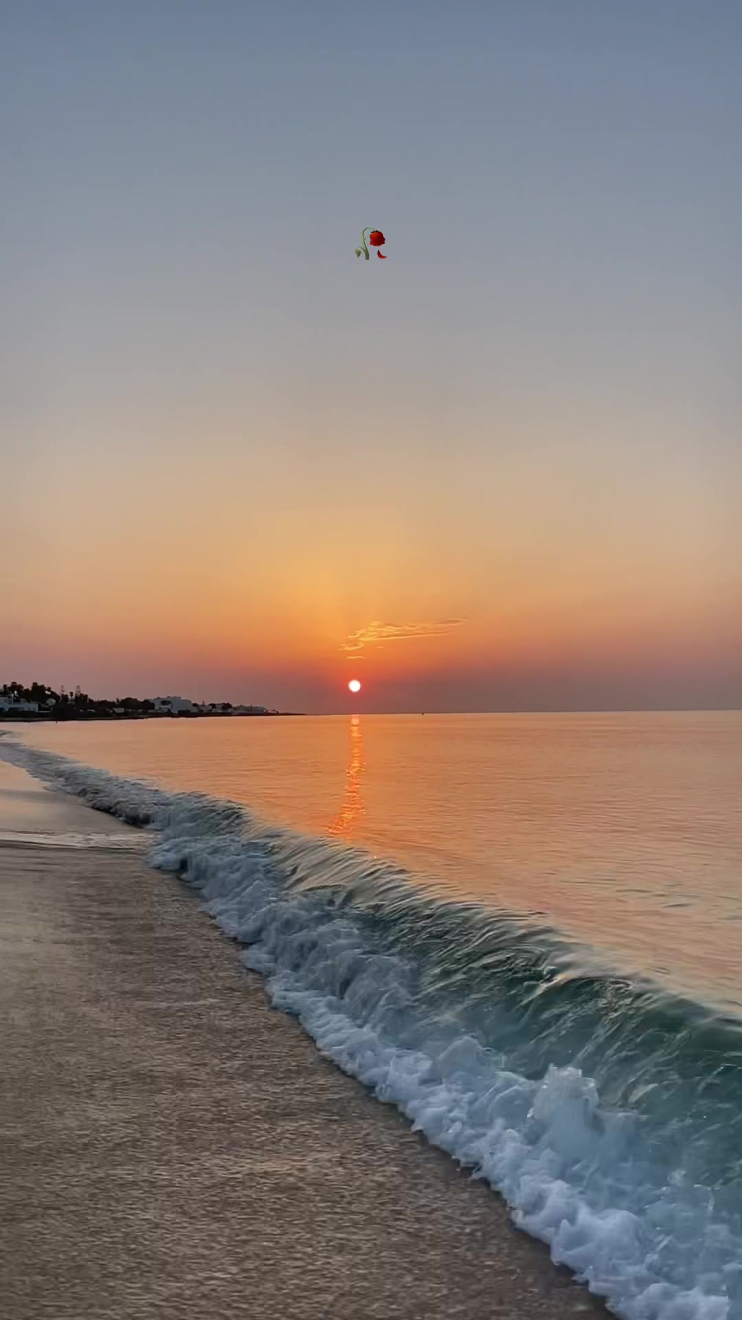 @tunivibes1