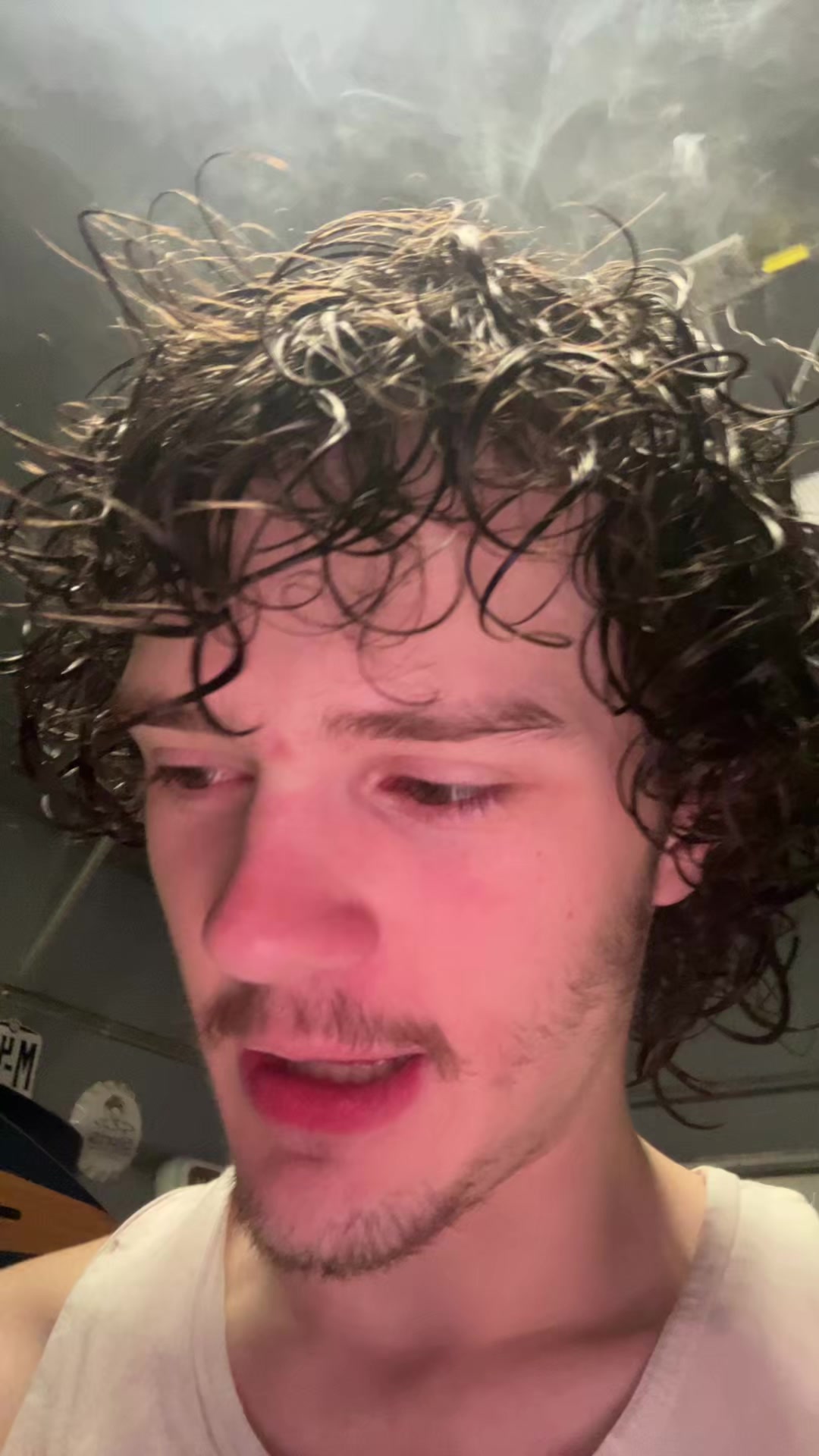 @gabogus