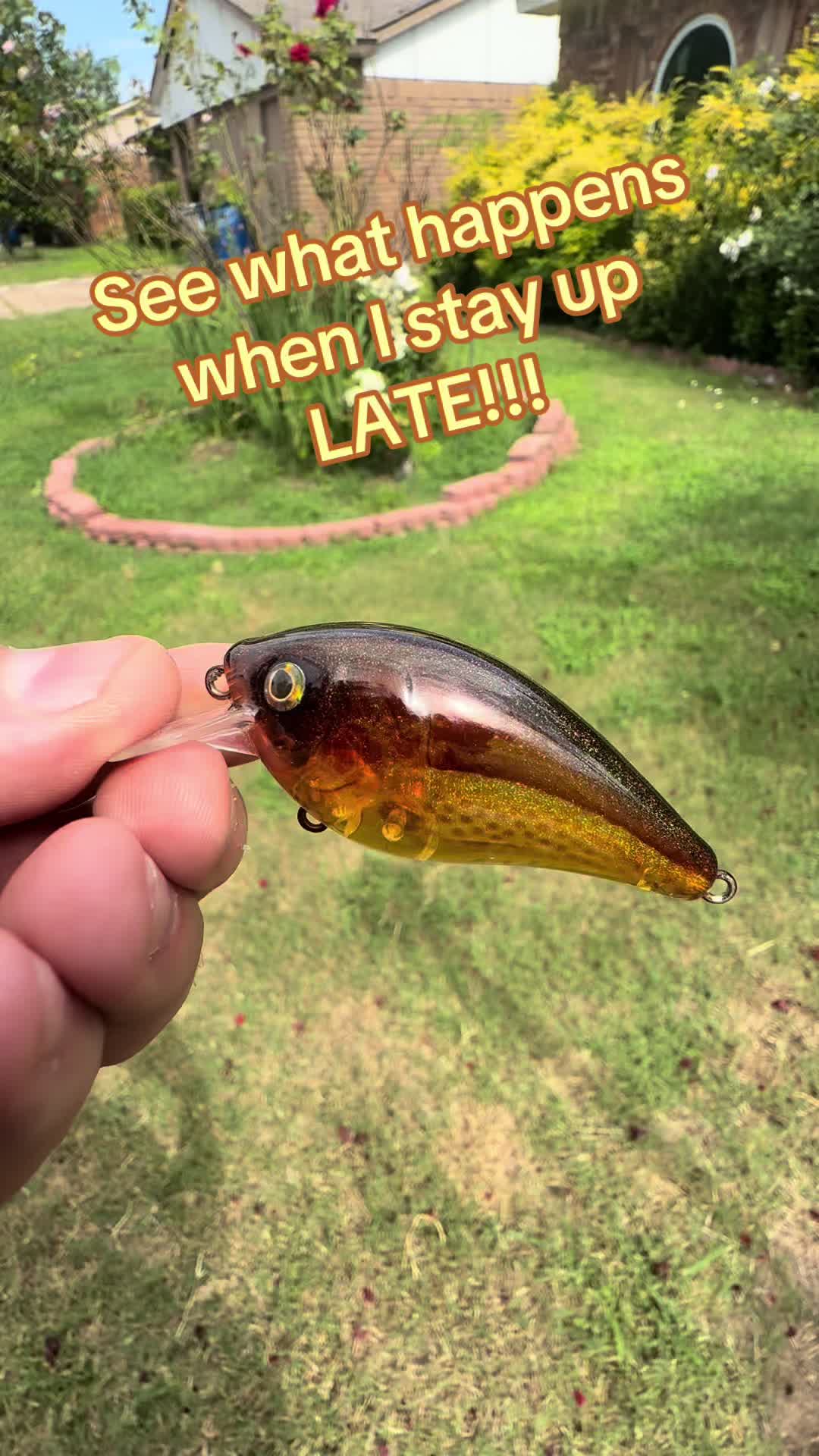 @Barrett Baits