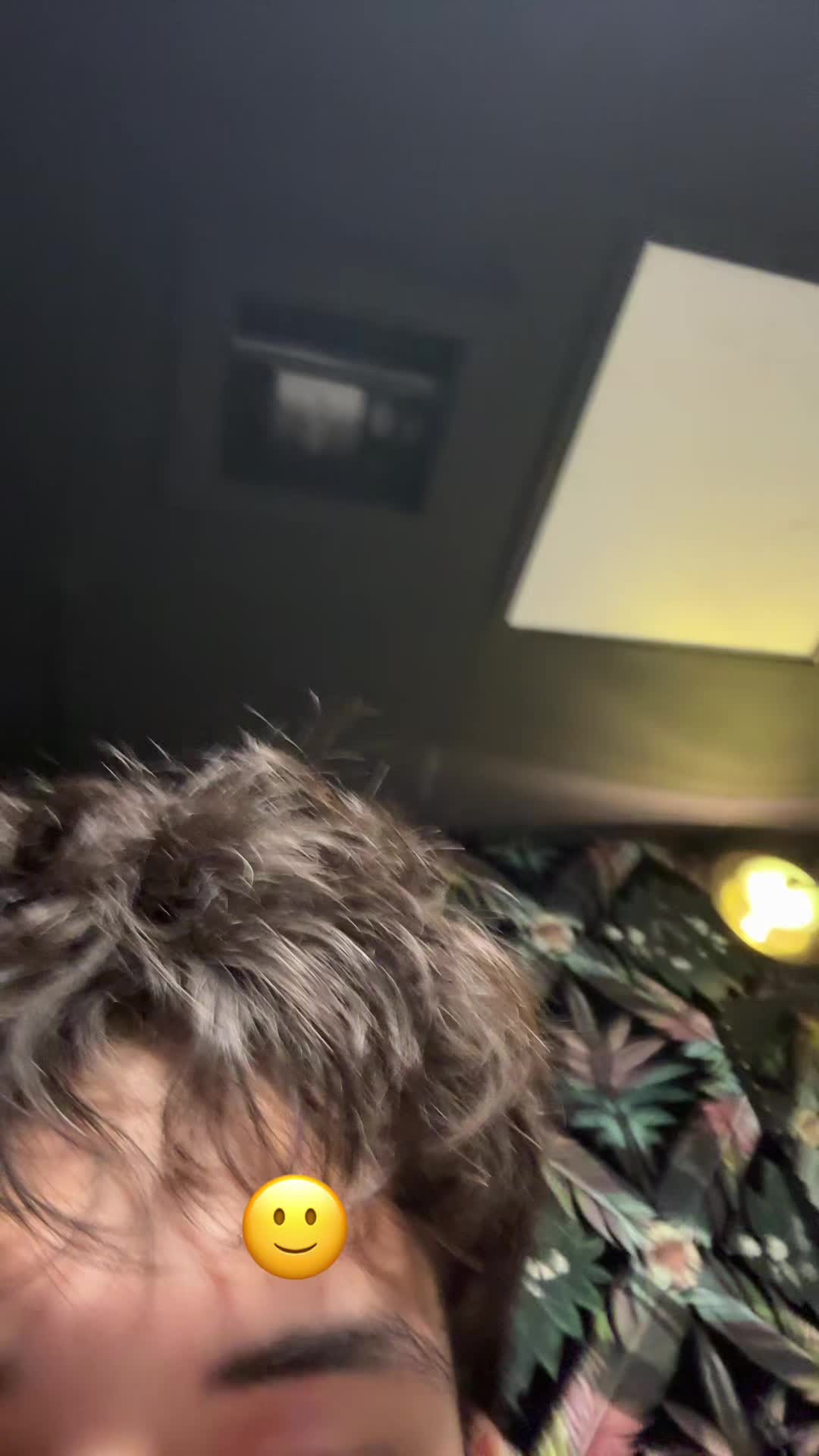 @Pregenantfurry