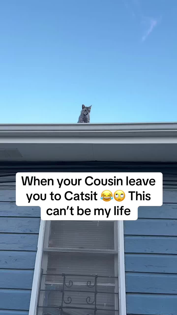 @ty