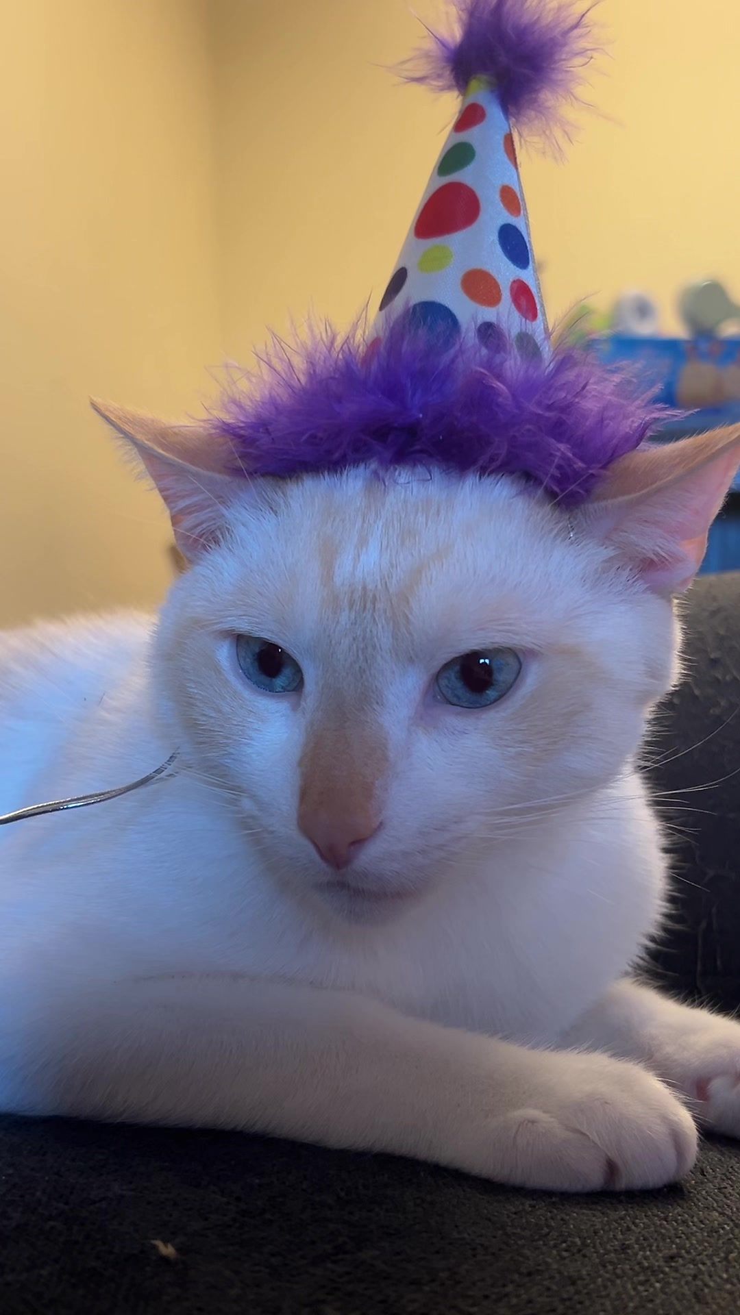 @FamiliarFEYpets