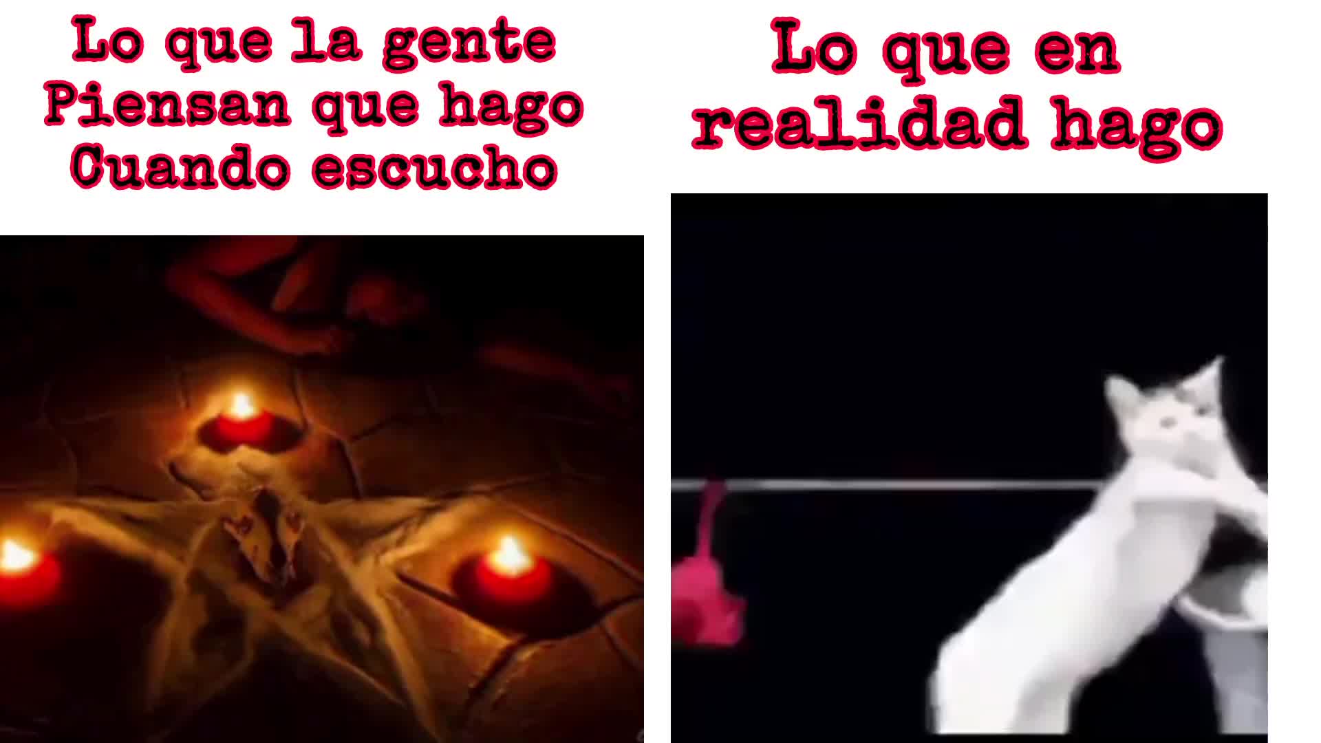 @DANNI🤘🤟