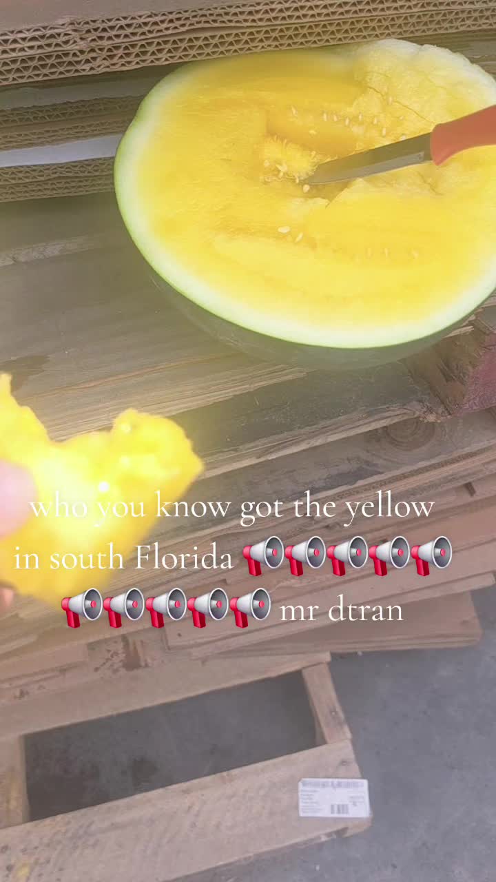@dtran 69