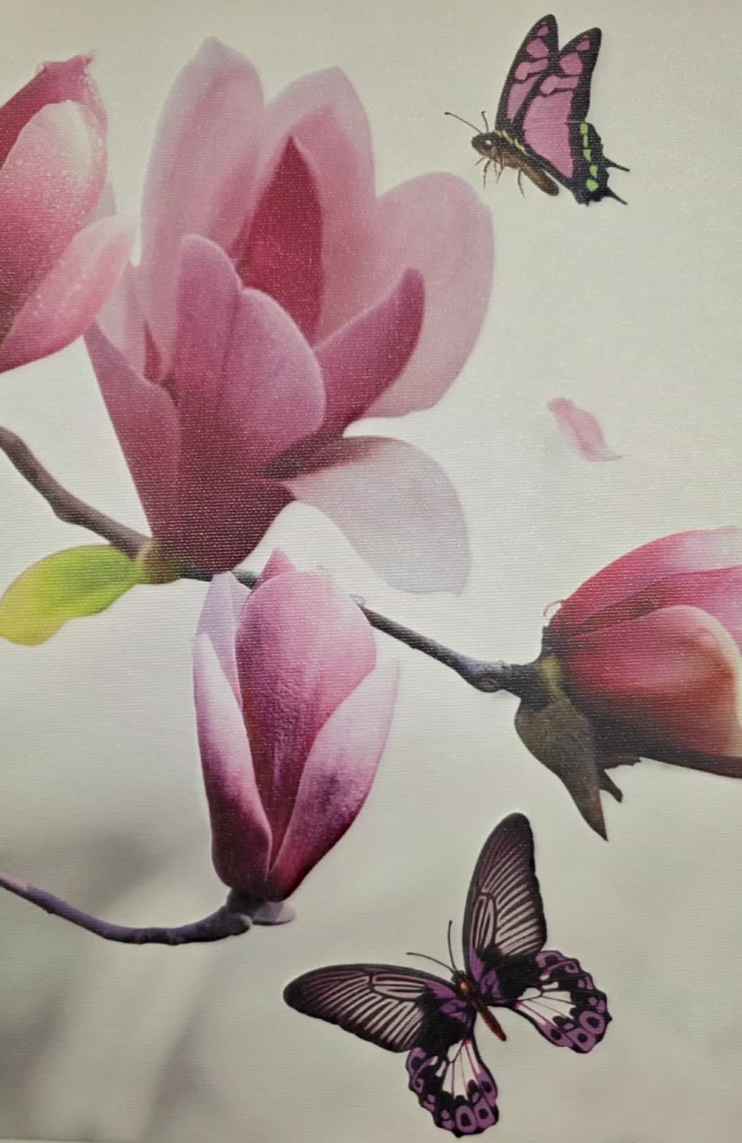 @spintowinwithdonna