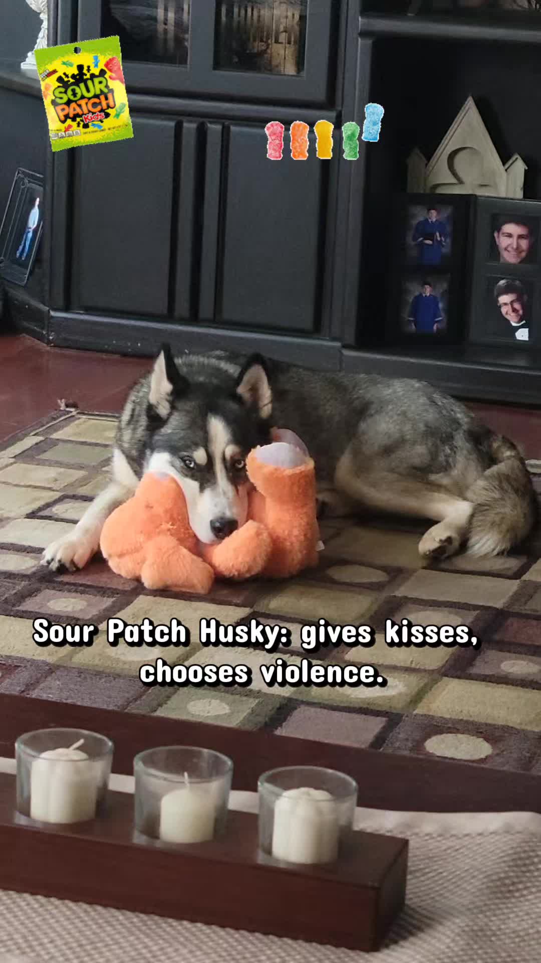@the Hussey Husky ❌️