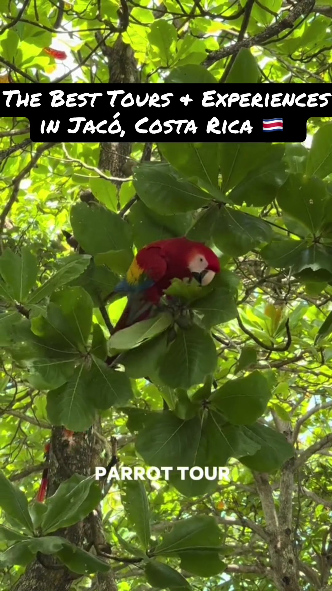 @Clint | Costa Rica 🇨🇷