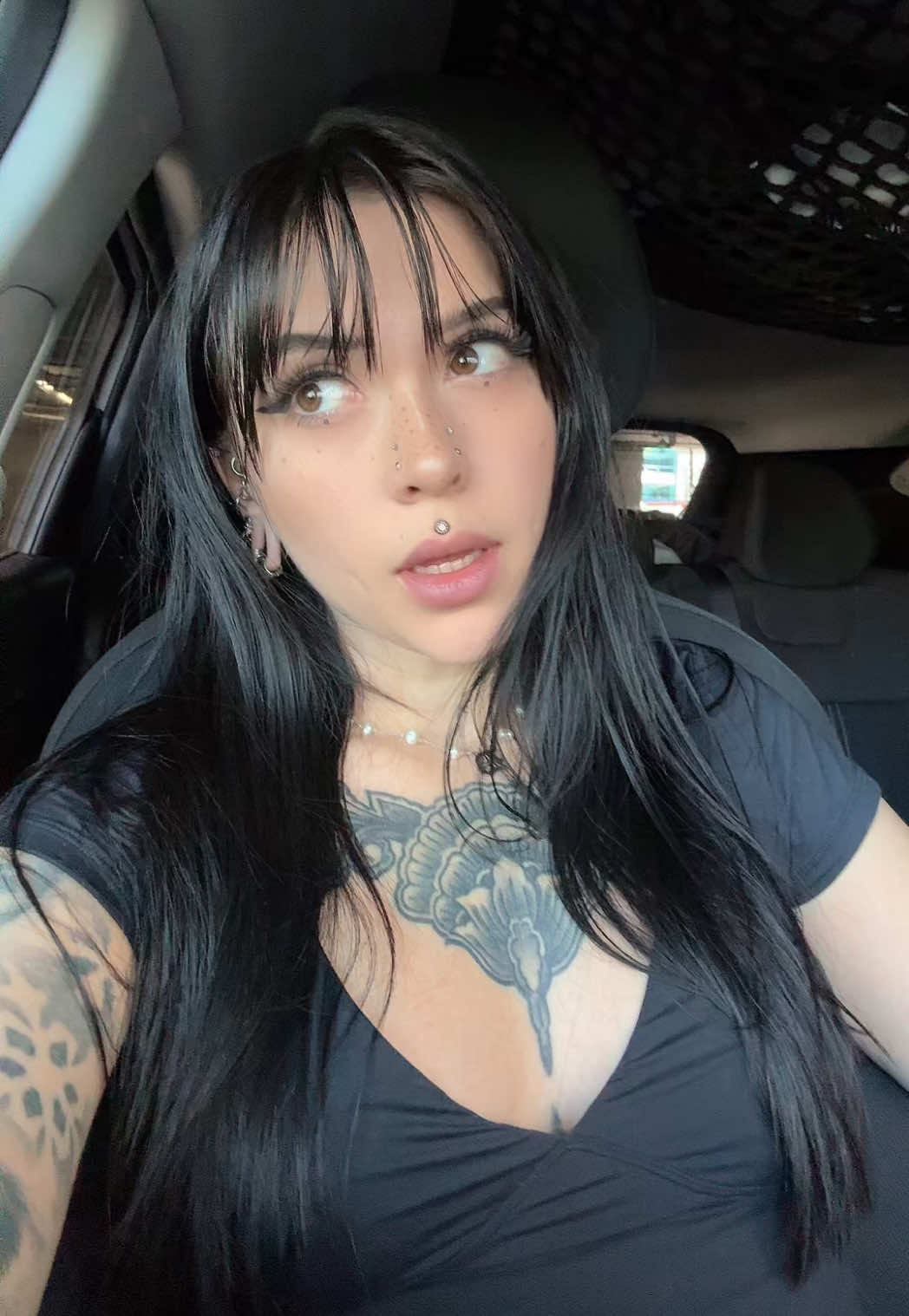 @Lunarfox_