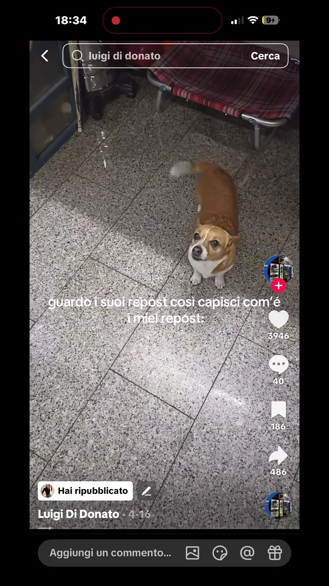 @mena_raimo