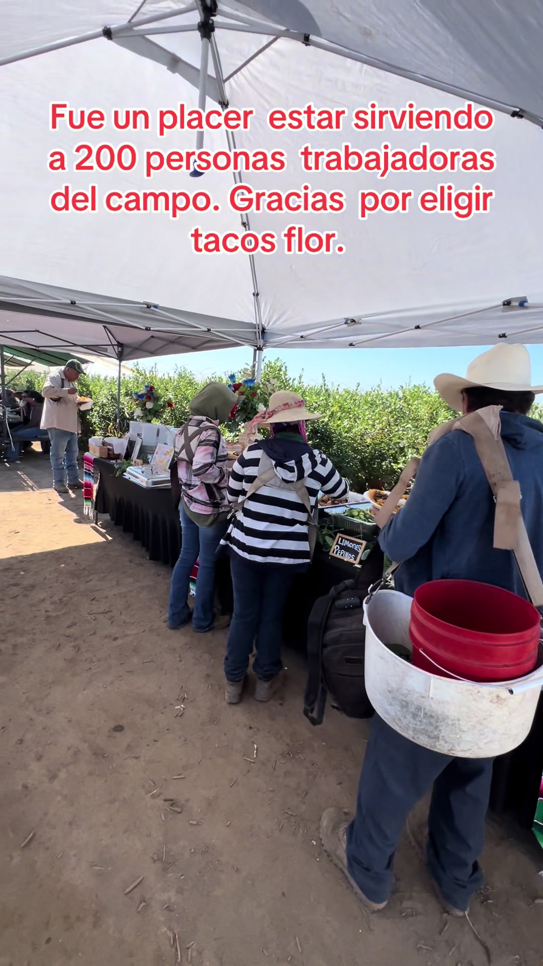 @Tacos flor