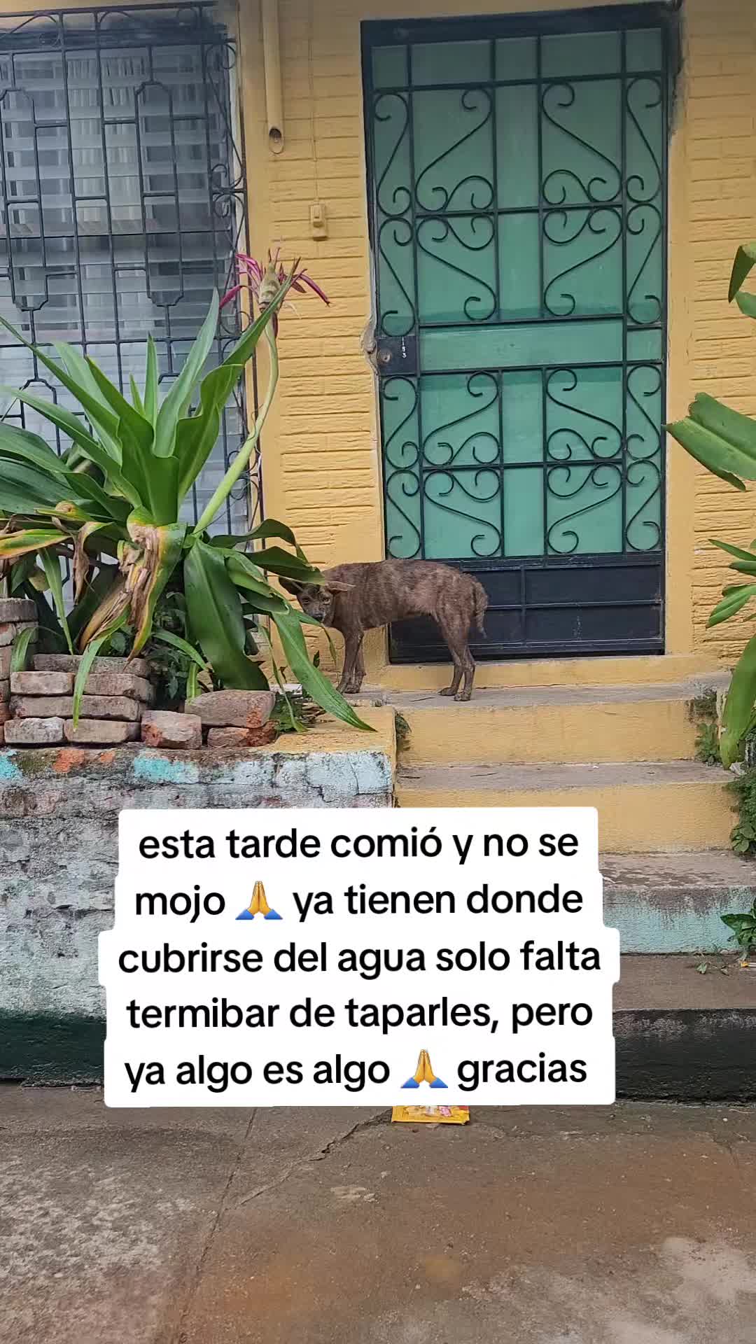 @𝕃𝕚𝕤𝕤 ℝ𝕖yes🇸🇻