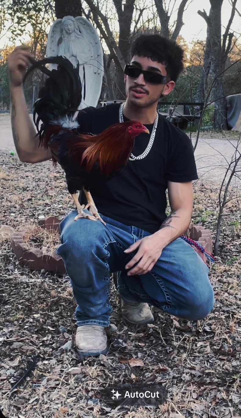 @PR_Gamefowl👑