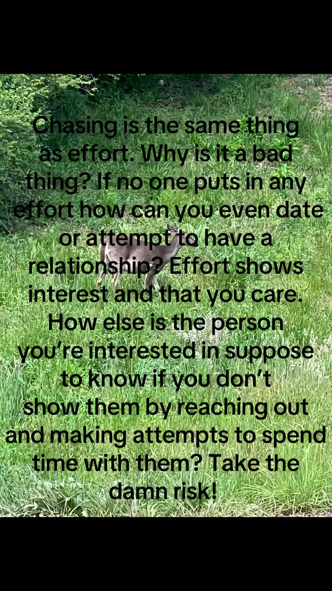 @Victoria Robb